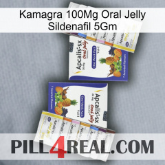 Kamagra 100Mg Oral Jelly Sildenafil 5Gm 12